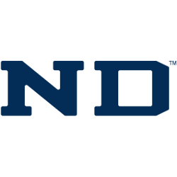 Notre Dame Fighting Irish Wordmark Logo 1994 - 2006