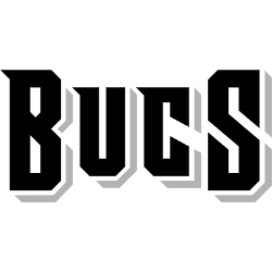 Tampa Bay Buccaneers Wordmark Logo 2014 - 2019