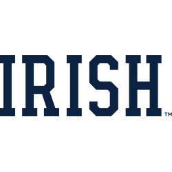 Notre Dame Fighting Irish Wordmark Logo 2015 - Present