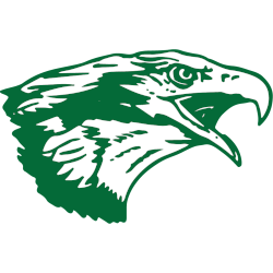 North Texas Mean Green Primary Logo 1994 - 1995