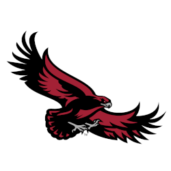 st-josephs-hawks-primary-logo